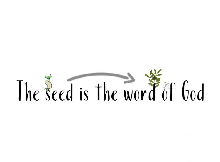 The seed is the word of God