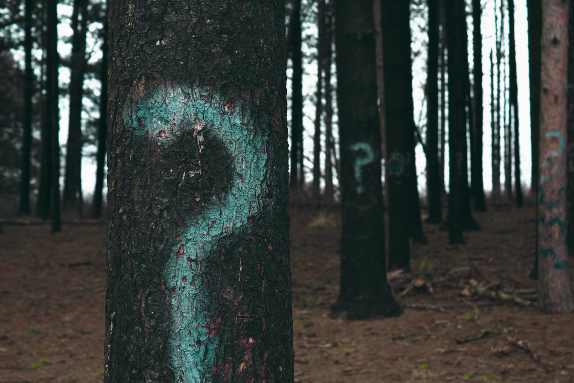 Fear of the Unknown
