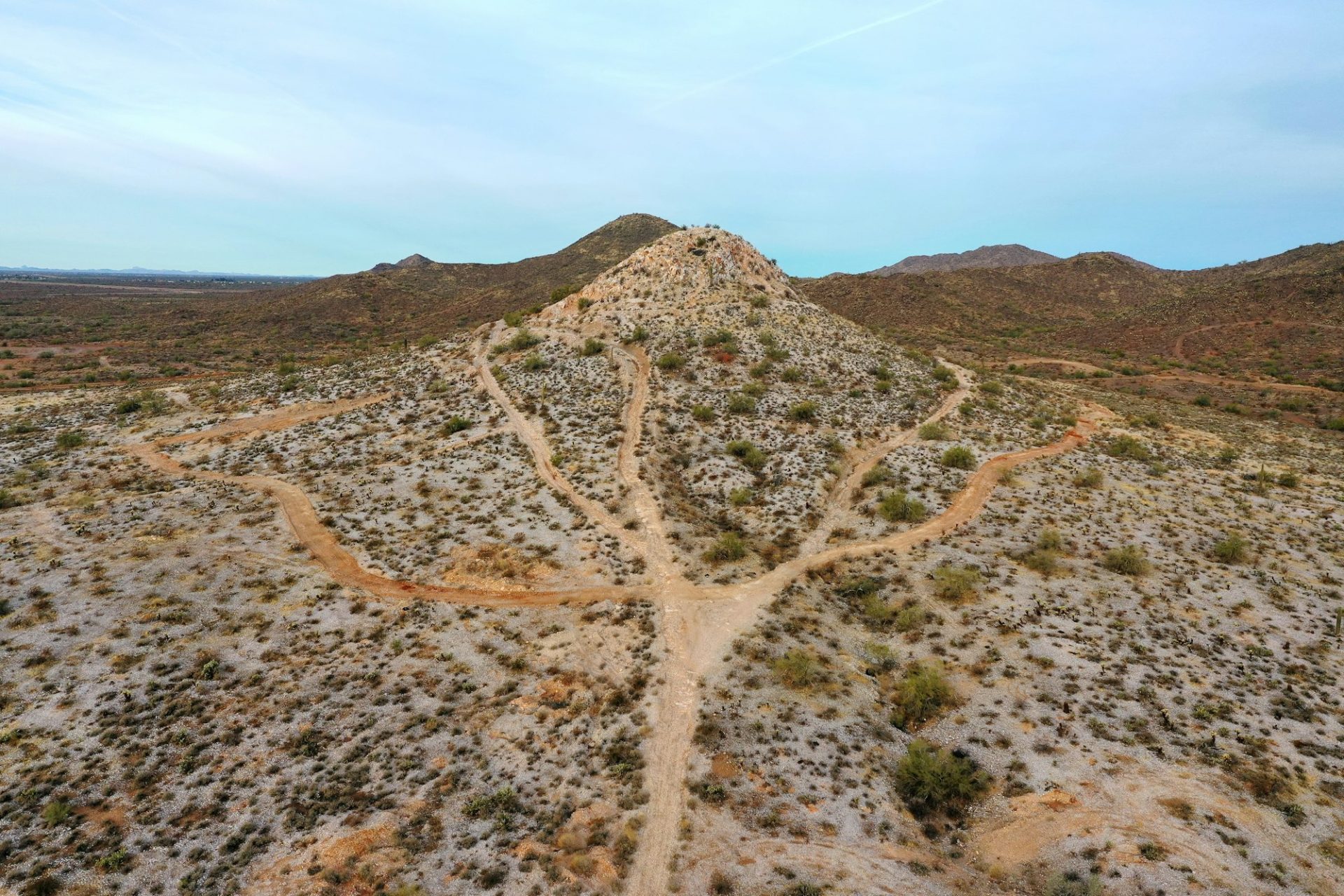 What Path are you on