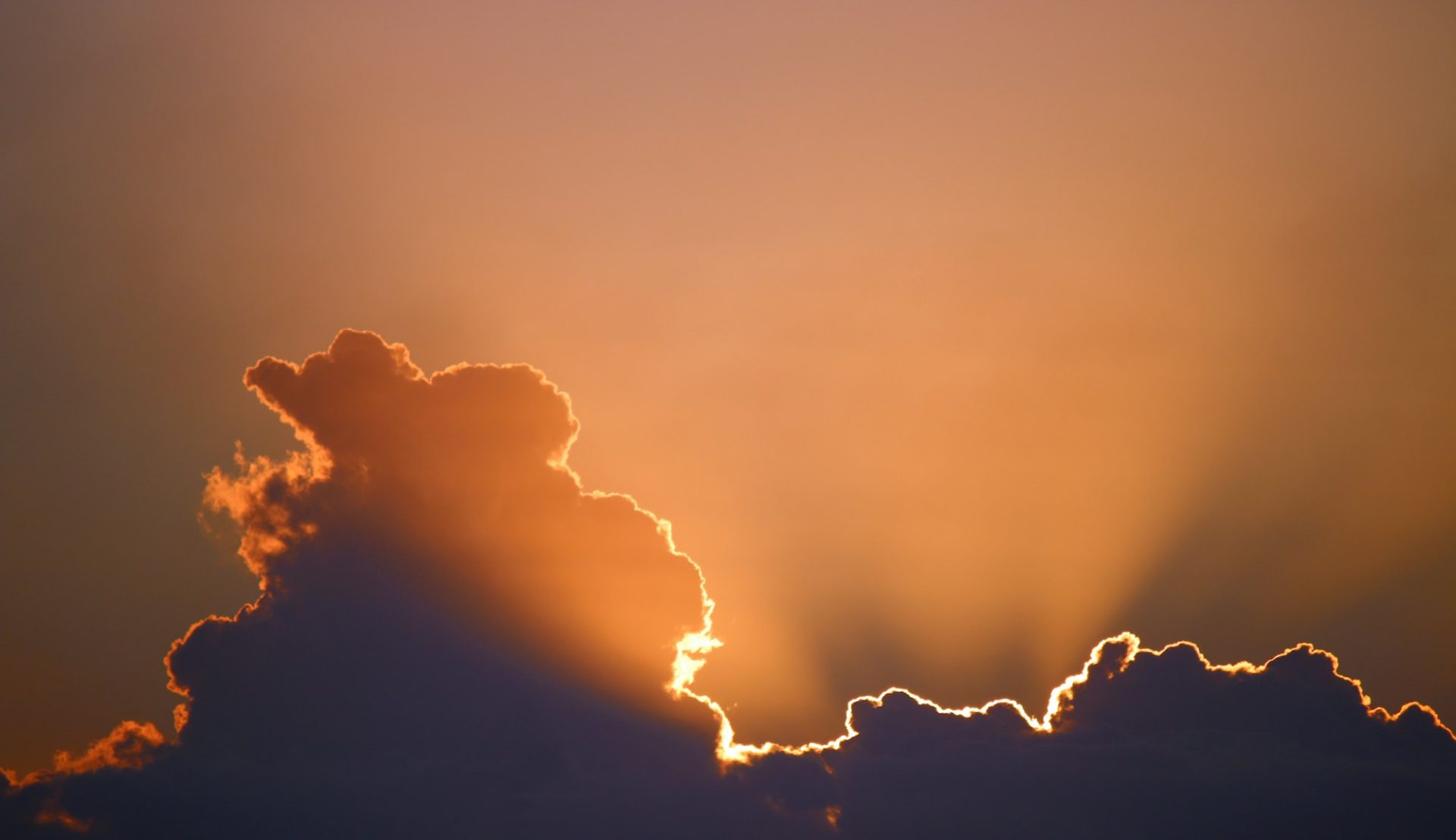 Light Shining Bright