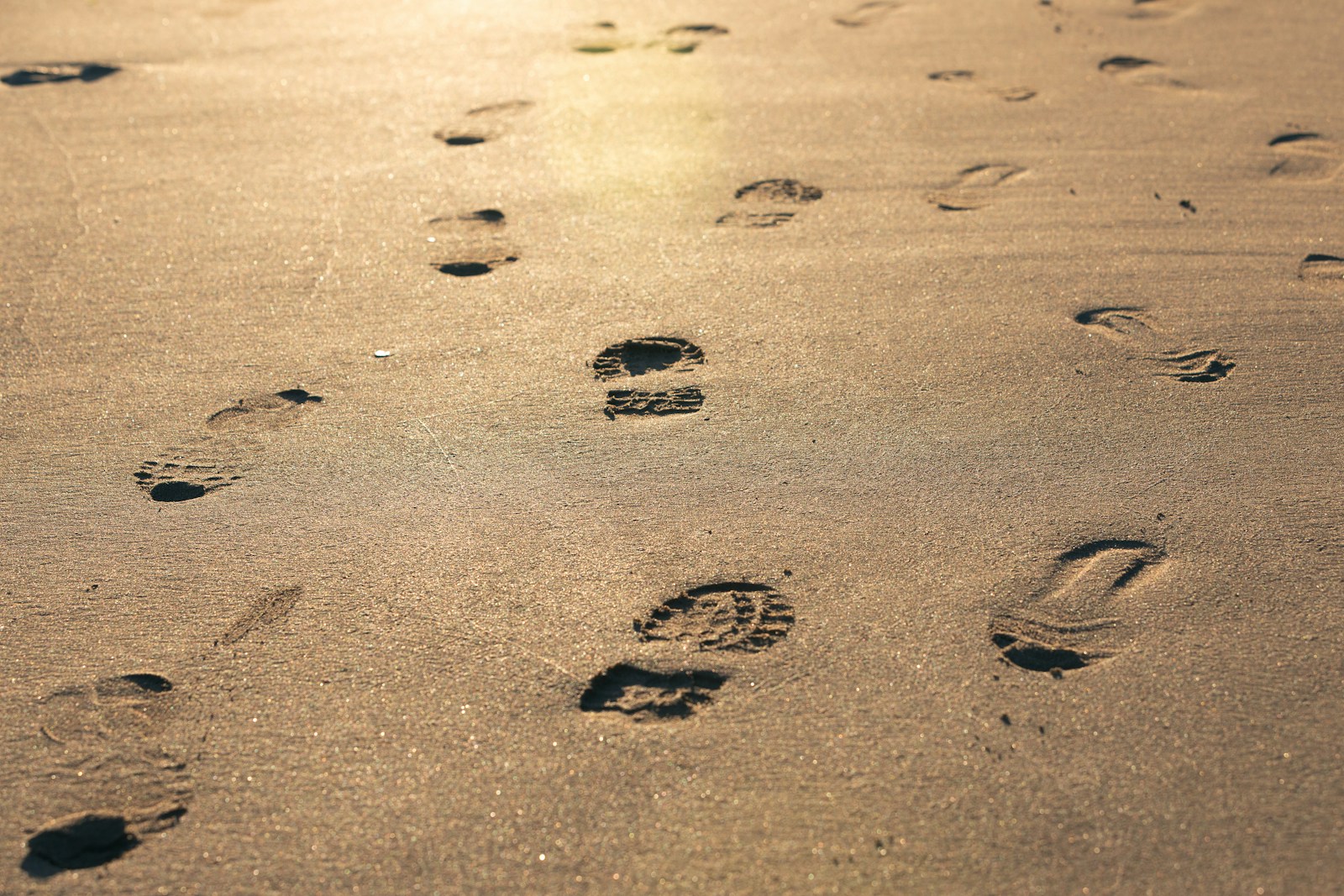 Ponder the Path of your Feet