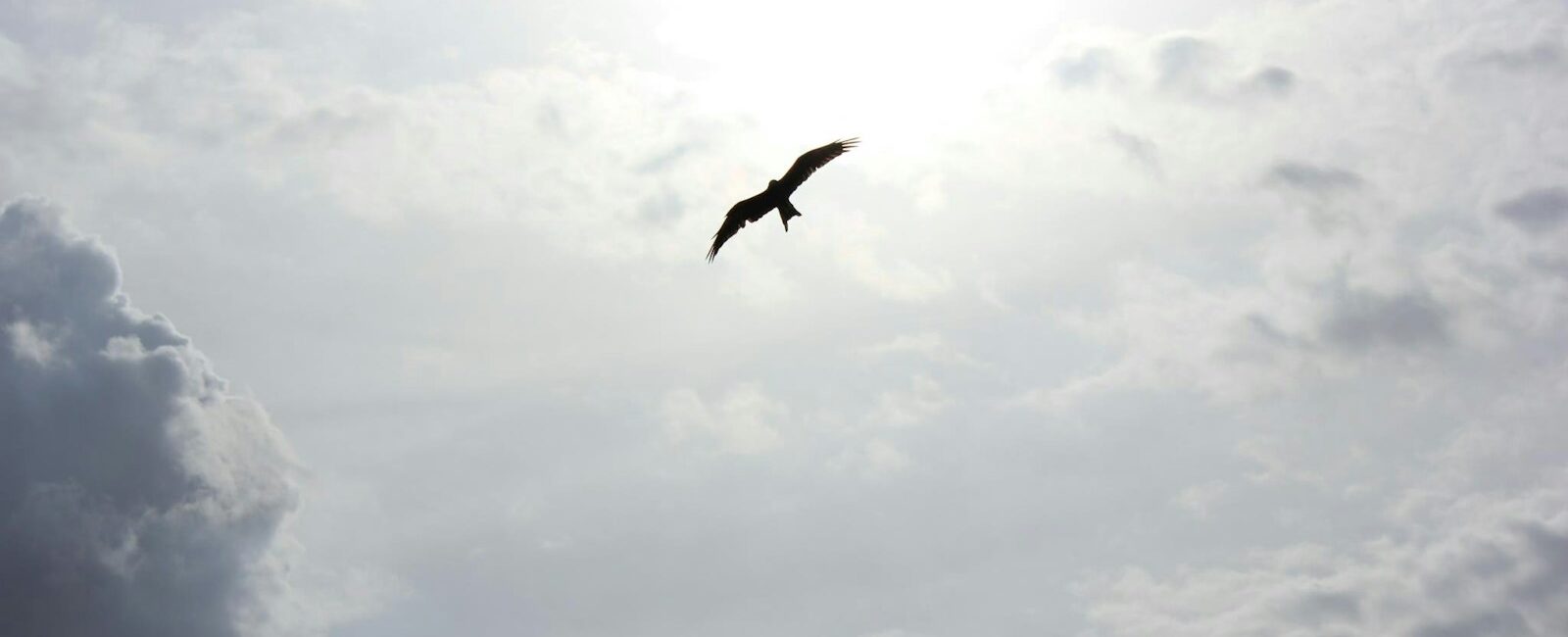 Freedom