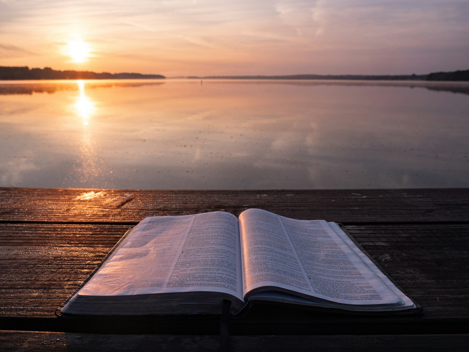 Wisdom of Creation