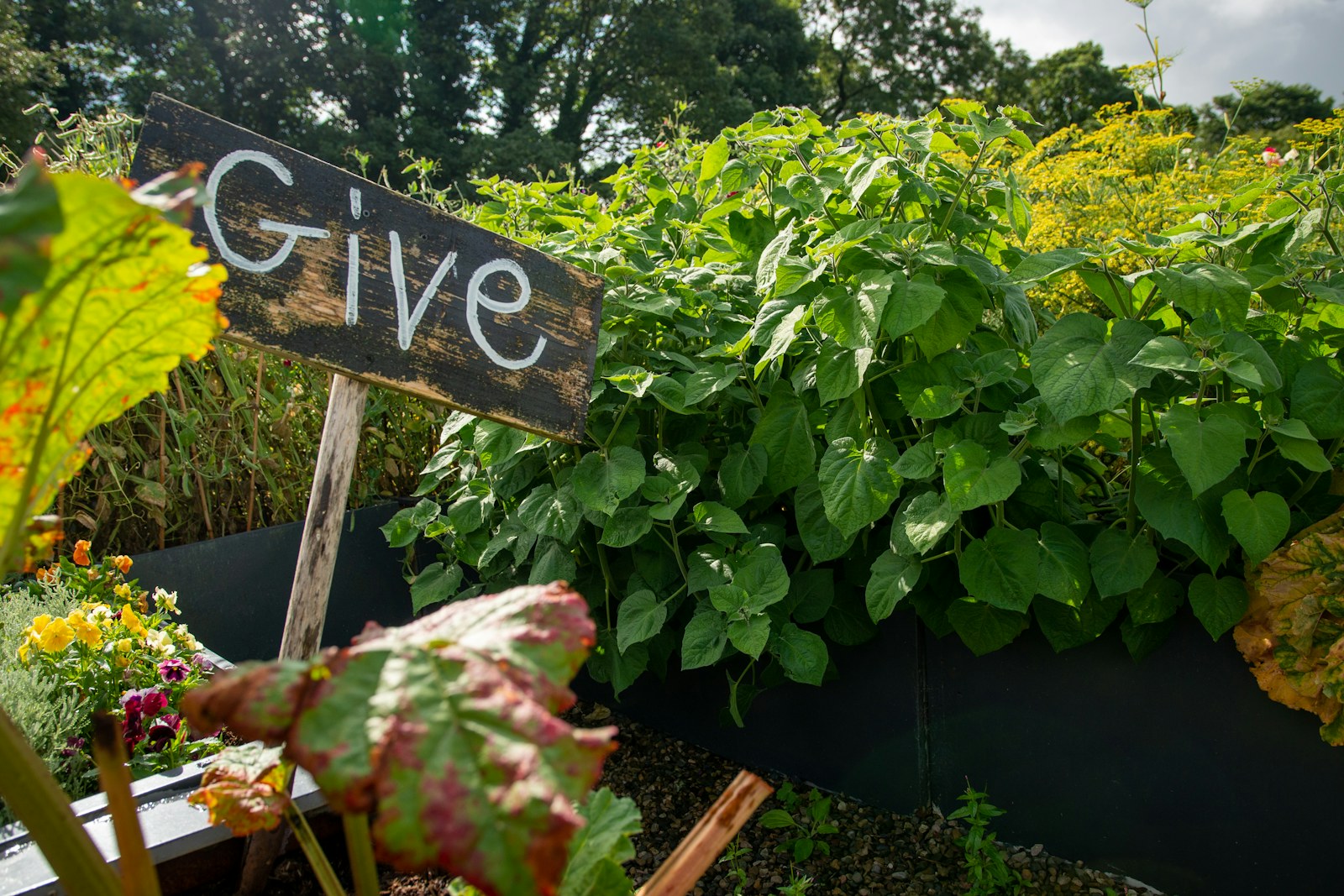 Receive and Give